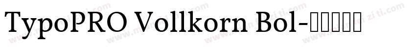 TypoPRO Vollkorn Bol字体转换